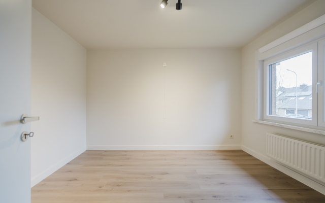 Lennen Descamps 0046 (Groot)