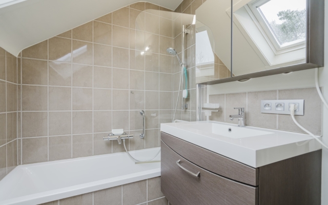 Lennen Descamps 0050 (Groot)