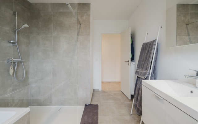 Lennen Descamps  047 (Groot)