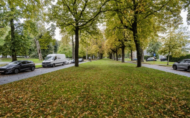 Lennen Descamps060 (Groot)
